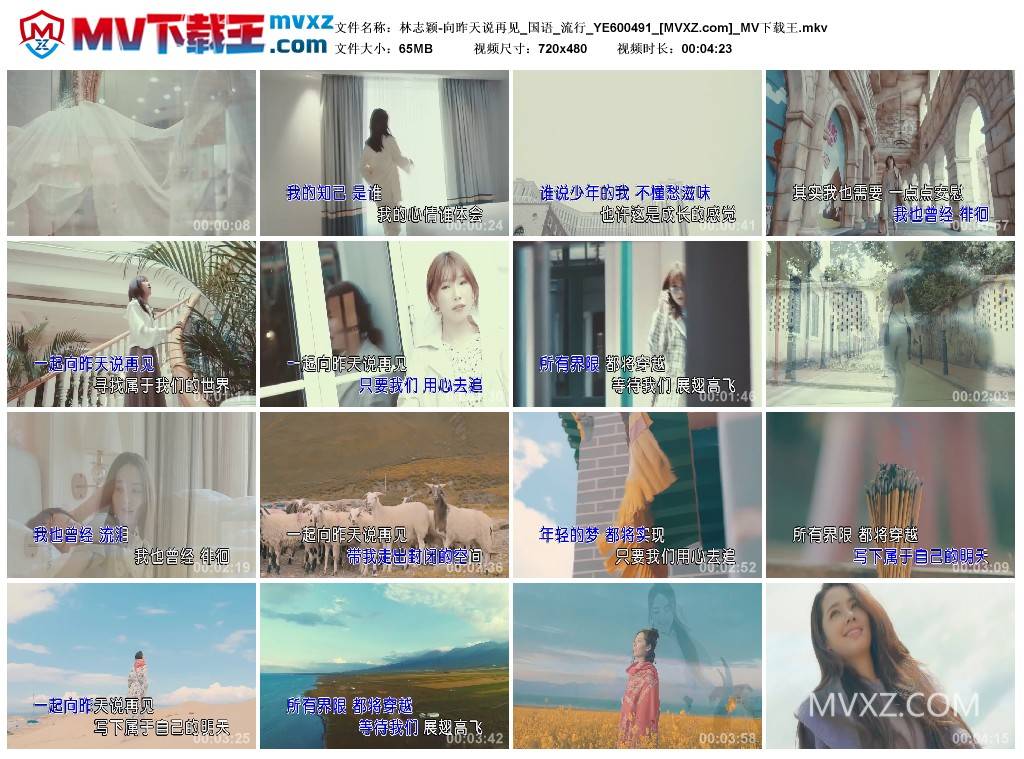 林志颖-向昨天说再见_国语_流行_YE600491